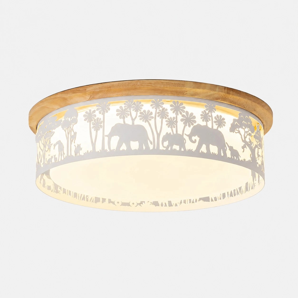 Type D White ceiling light