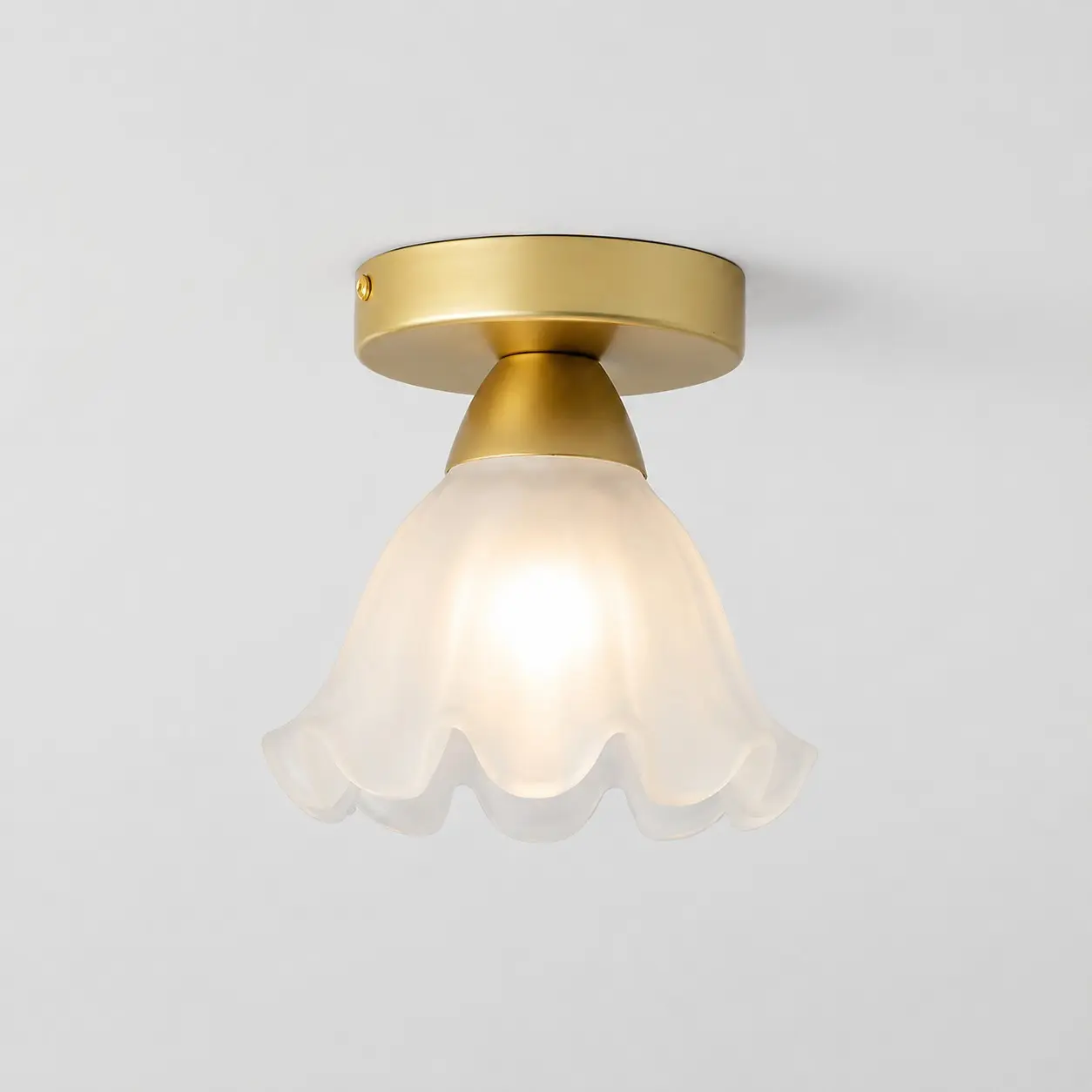 Iron petal glass ceiling light