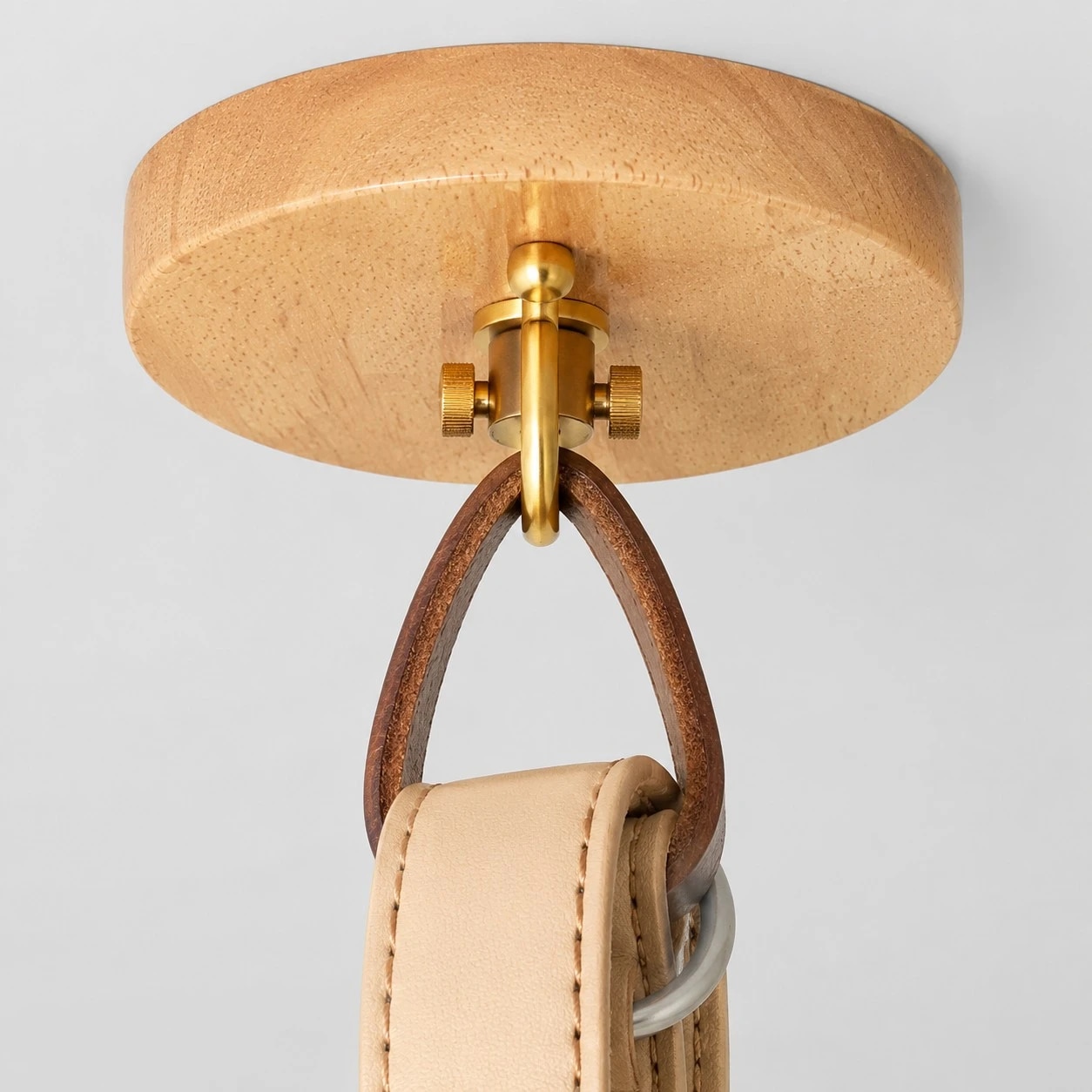 Ceiling canopy and belt-style suspension