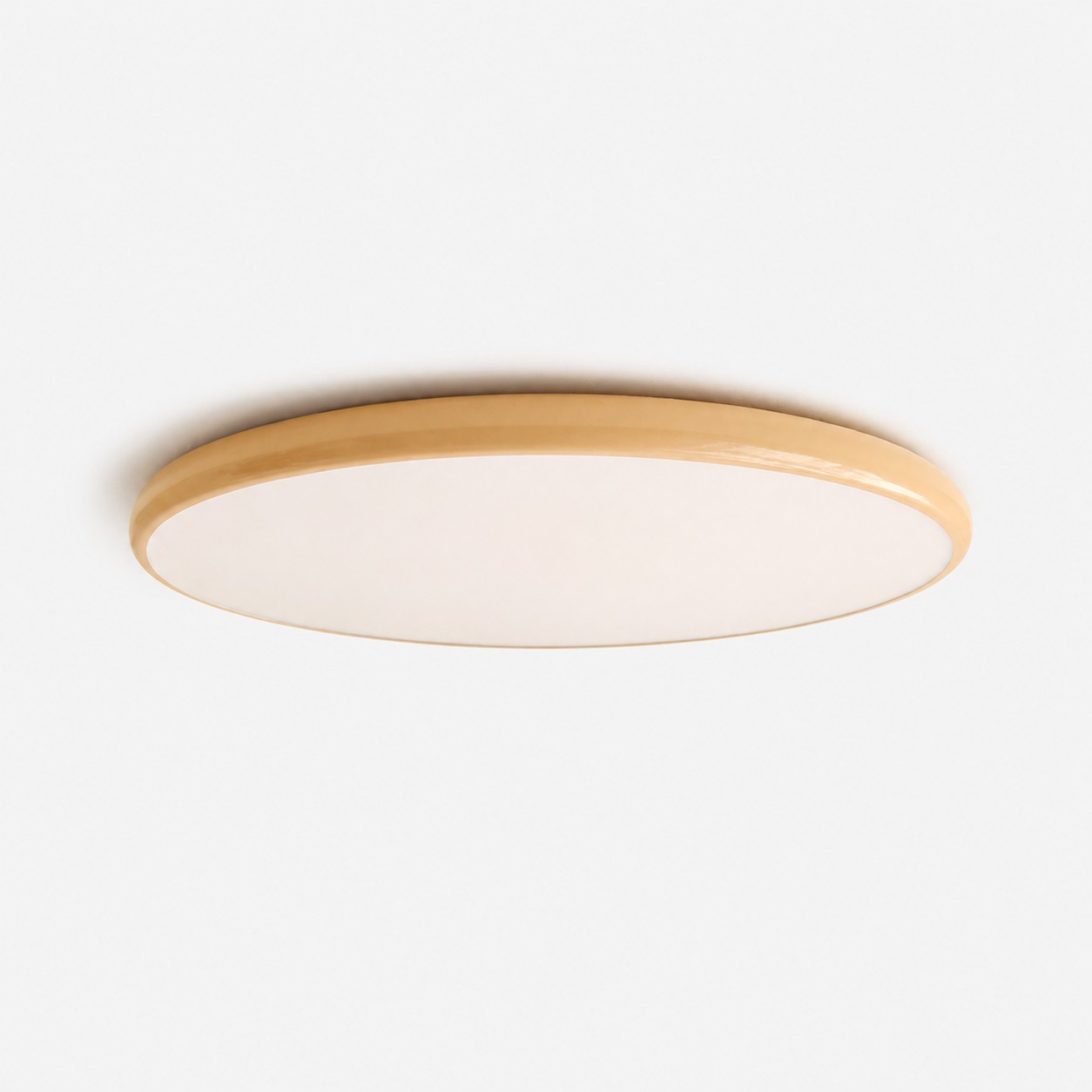 Dia. 50 cm / 19.7 in &times; H 8 cm / 3.1 in