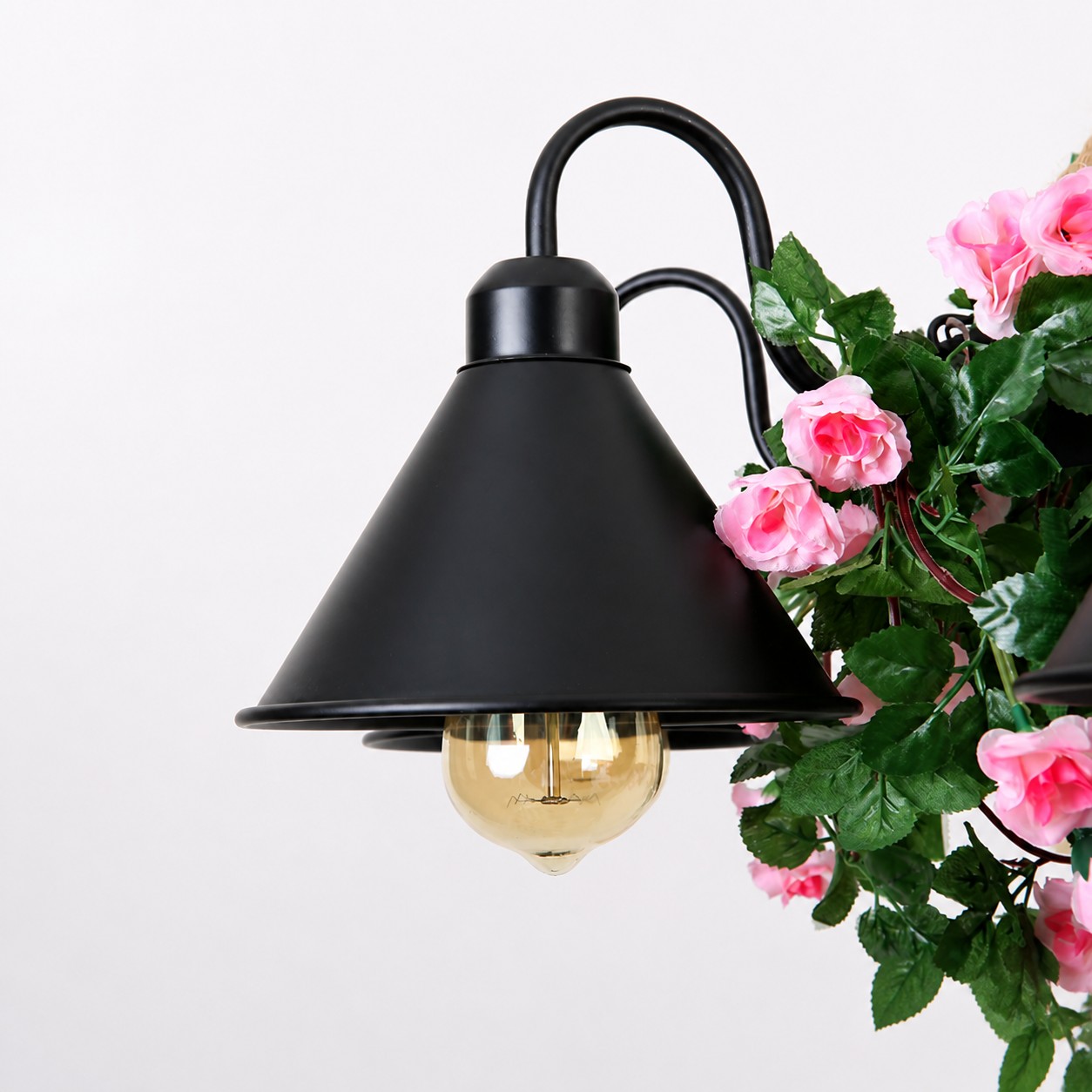 Rosa Blütenakzent neben dem schwarzen Hintergrund