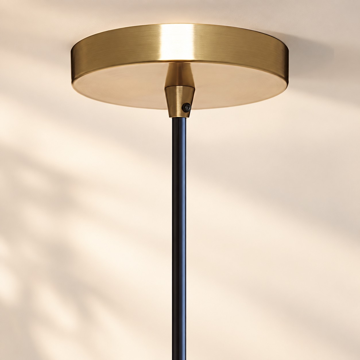 Brushed brass ceiling canopy with black stem